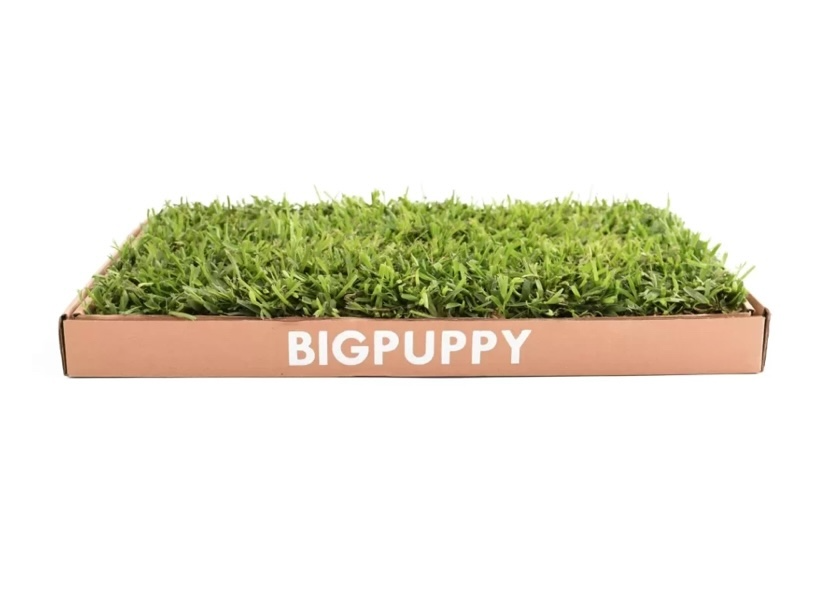 Sanitario Natural Clásico M