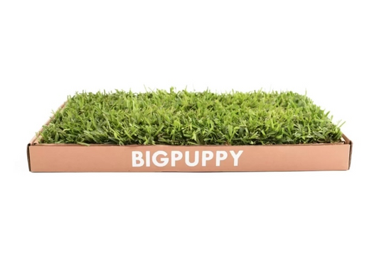 Sanitario Natural Clásico M