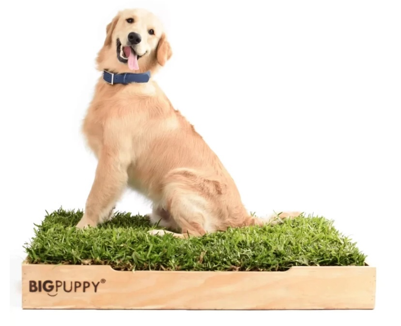 Baño Natural Premium para perros sin olores (XL)