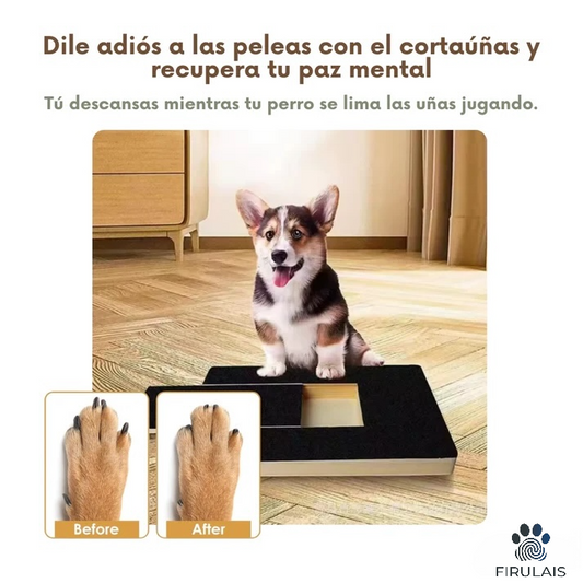 Tablero Rascador Interactivo - Corta Uñas para Perros
