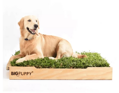 Baño Natural Premium para perros sin olores (XL)