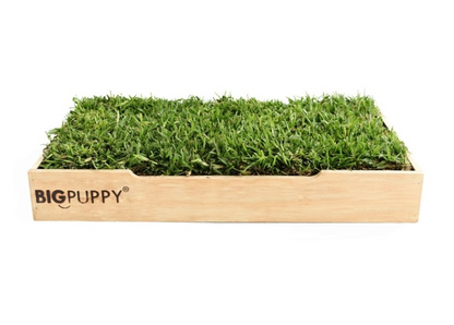 Baño Natural Premium para perros sin olores (XL)