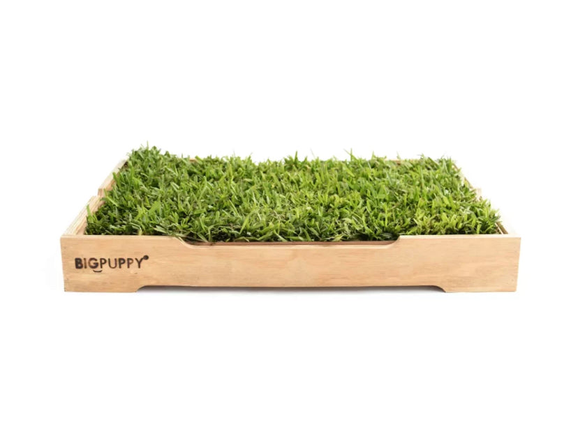 Baño Natural Premium para perros sin olores (M)