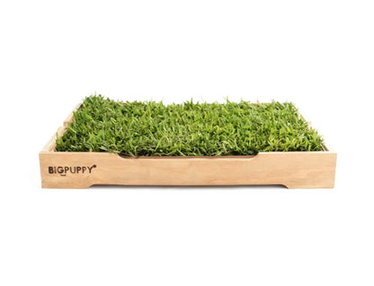Baño Natural Premium para perros sin olores (M)