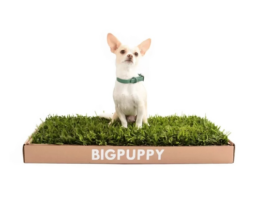 Sanitario Natural Clásico M