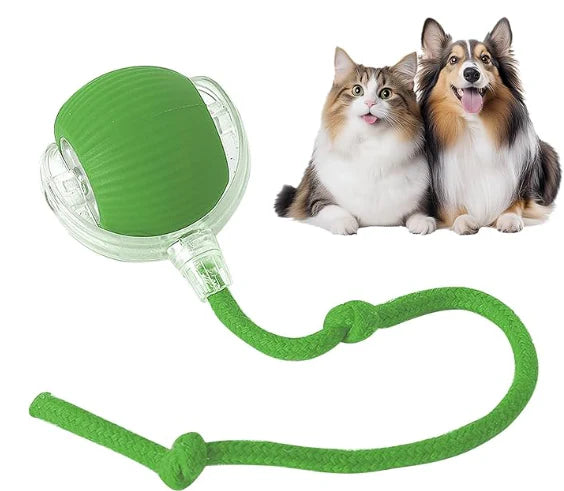Pelota Interactiva Inteligente con Cola