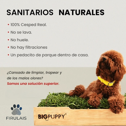Baño Natural Premium para perros sin olores (M)