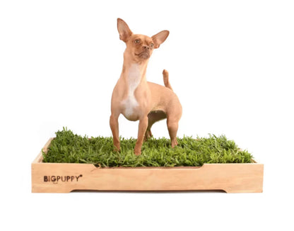 Baño Natural Premium para perros sin olores (M)