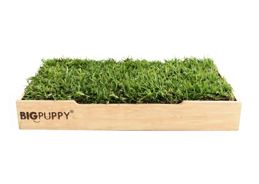 Baño Natural Premium para perros sin olores (L)