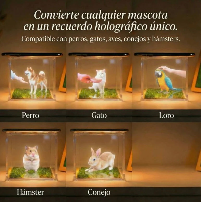 Recuerdo Holográfico Personalizado 3D