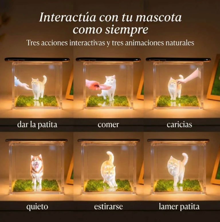 Recuerdo Holográfico Personalizado 3D