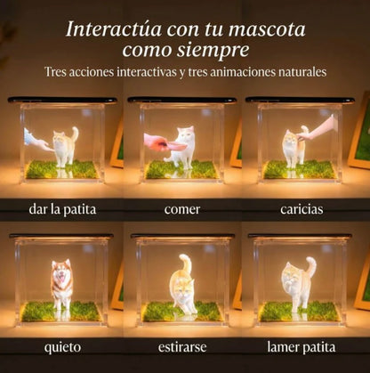 Recuerdo Holográfico Personalizado 3D