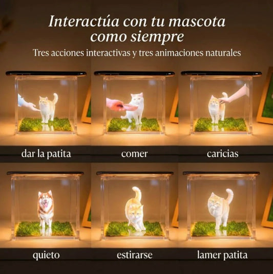 Recuerdo Holográfico Personalizado - Mascotas