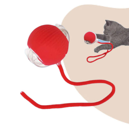 Pelota Interactiva Inteligente con Cola