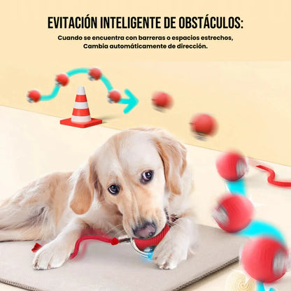 Pelota Interactiva Inteligente con Cola