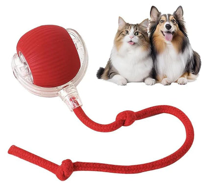 Pelota Interactiva Inteligente con Cola
