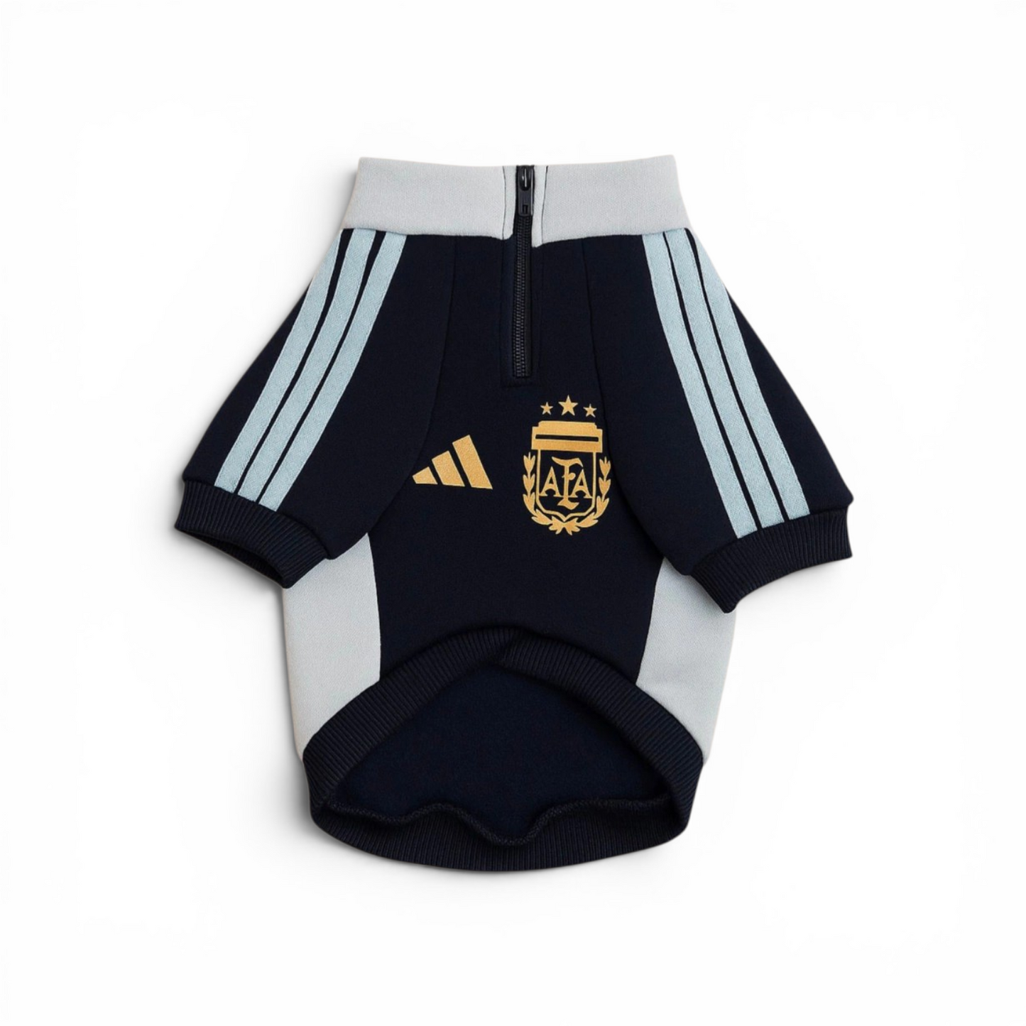 Buzo Jogging Argentina