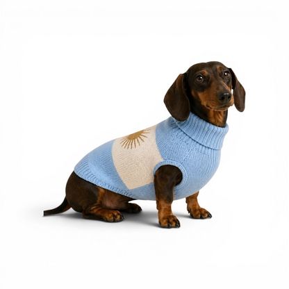 Sweater Argentina
