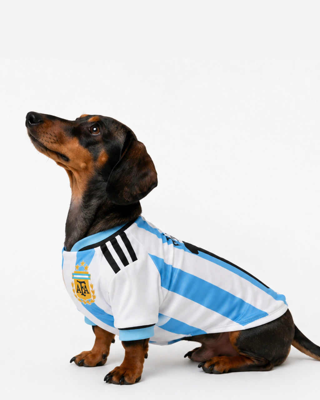 Camiseta Selección
