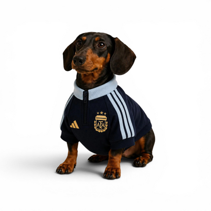 Buzo Jogging Argentina