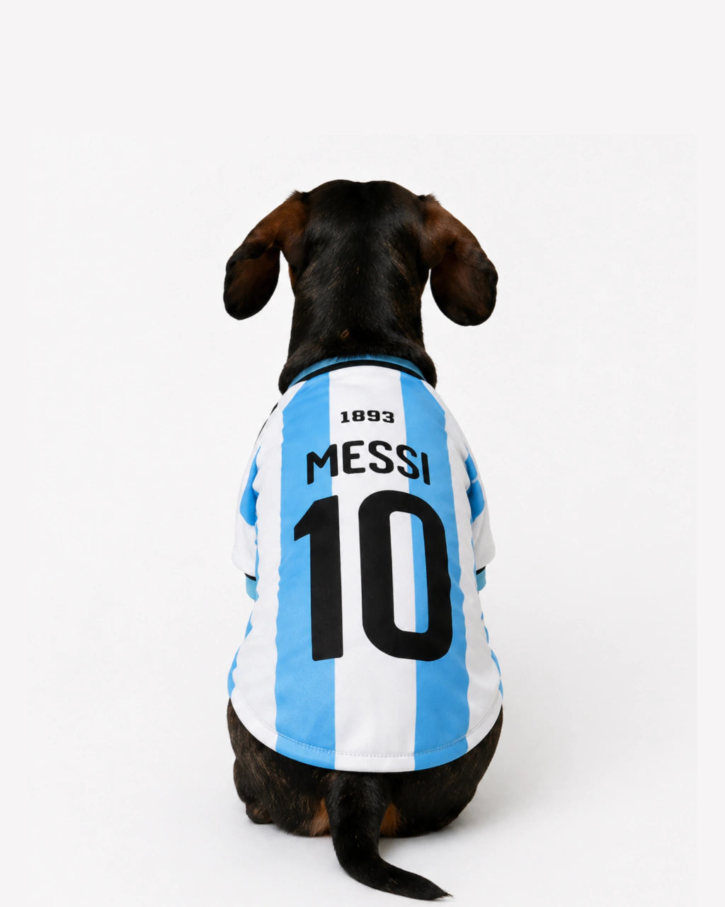 Camiseta Selección